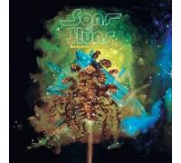 Sons of Huns - Banishment Ritual [Vinilo]