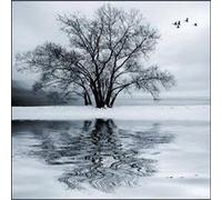 Sonus Umbra - Winter Soulstice