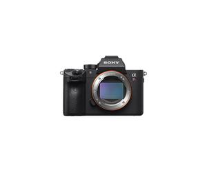 Sony A7R Iii + Sel 100-400Mm F4.5-5.6 Oss