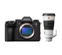 Sony Alpha 1 II (ILCE-1M2B) + SEL 300mm f/2.8 GM OSS