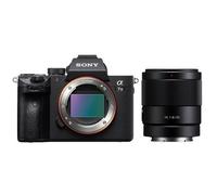 Sony Alpha 7 III (ILCE-7M3) + SEL 35mm f/1.8