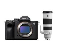 Sony Alpha 7 IV (ILCE-7M4) + SEL 200-600mm f/5.6-6.3 G OSS
