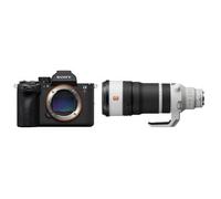 Sony Alpha 7R VI (ILCE-7RM6) + SEL 100-400mm f/4.5 GM OSS