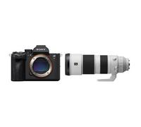 Sony Alpha 7R VI (ILCE-7RM6) + SEL 200-600mm f/5.6-6.3 G OSS