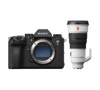 Sony Alpha 9 III (ILCE-9M3) + SEL 300mm f/2.8 GM OSS