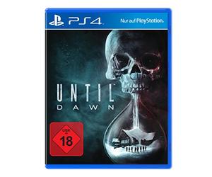 Sony Computer Entertainment Until Dawn [Importación Italiana]