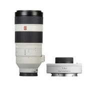 Sony FE 100-400mm F/4.5-5.6 GM + 1.4x Teleconverter