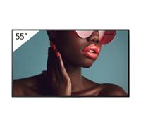 Sony FW-55BZ40L 55" UHD 4K Pantalla de señalización digital IPS