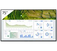 Sony FW-75BZ30L - Pantalla de Señalización Digital Profesional 75" 4K UHD (3840x2160) LCD IPS, Android, WiFi, HDR Dolby Vision, 24/7, 440 cd/m², Color Negro