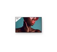 Sony Pro BRAVIA FW-55BZ40L 55" Display