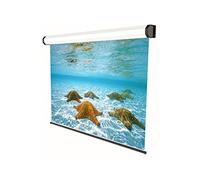 Sopar Electric Professional 3D Pantalla de proyección 2,49 m (98") 4:3 - Pantallas de proyección (Motorizado, 2,49 m (98"), 2 m, 150 cm, 4:3, Blanco)