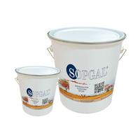 Sopgal Imprimación Fijadora para Resinas Epoxi (3+1Kg) - Ideal para suelos o terrazas de baja adherencia, para procesos de impermeabilización y restauración