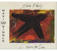 Sophie B Hawkins - California here I come (1992, incl. Remix of 'Damn I wish..')