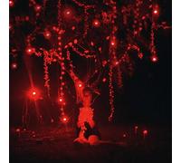 Sophie Hunger - The Danger of Light