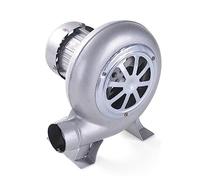 Soplador De Aire Eléctrico Centrífugo - Turbina Soplador De Castillos Hinchables, Parrilla Del Encendedor Del Carbón De La Fan, Excitador De Llama De Arranque De Fuego De Parrilla ( Size : 60W )