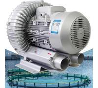 Soplador De Anillo Con Bomba De Vacío Industrial De 0,16 Hp a 2,01 Hp, Soplador De Alta Presión, Soplador De Vórtice De 220 V, Soplador De Bomba De Aire Industrial,250W/0.33HP