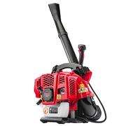 Soplador de hojas a gasolina con mochila 3,8 CV 1360 m³/h Gasolina 2 tiempos Nie