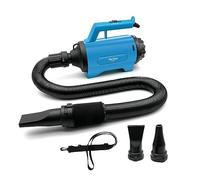 Soplador Eléctrico 1200W Profesional para Coche, Hogar y Jardín | Secador de Alta Potencia con Boquilla de Precisión | Elimina Polvo y Hojas en el Cuidado del Césped(Azul)