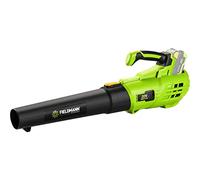 Soplador inalámbrico de Hojas - Fieldmann - FZF 70605-0