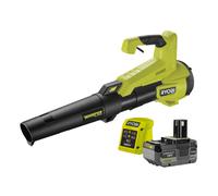 Soplador sin escobillas silencioso 177 km/h 18V ONE+™ HP WHISPER™ (1x 4.0Ah)