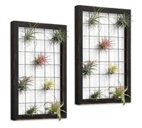 Soporte Colgante de Malla para Plantas de Aire, Paquete de 2 Marcos de Cultivo, Decoración de Pared para Casa, Suculentas, Oficina, Patio
