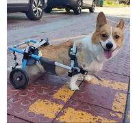 Soporte de cadera para perro: soporte de pierna trasera ajustable para artritis, ligamento cruzado anterior desgarrado, displasia de cadera, ayuda de movilidad de mascotas para problemas de caminar