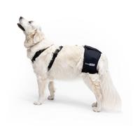 Soporte de Cadera para Perros con Displasia de Cadera o Artrosis