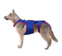 Soporte de cadera para perros, soporte de cadera para perros | Férula de espalda para IVDD - El protector de espalda con anillo en D y tiras reflectantes ayuda a aliviar la espalda del perro
