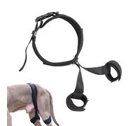 Soporte de cadera para perros - Soporte de elevación de cinturón de cadera transpirable, accesorios para perros | Ayuda de corrección de mascotas, arnés auxiliar, cinturón de apoyo para