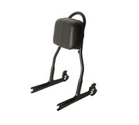 Soporte de Cola para Harley para Softail Deluxe FLSTN 2005 2006 2007 2008 2009 2010-2017 Respaldo Trasero Desmontable para Pasajeros Trasero Sissy Bar(Negro)