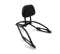 Soporte de Cola para Harley Street XG500 XG 500 XG750 XG 750 2014-2021 Portaequipajes Trasero Desmontable para Pasajeros Sissy Bar De Motocicleta