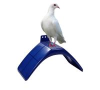 Soporte De Descanso para Palomas: Cómodo, Ligero Y Estructura Habitable para Loros, Palomas Y Percas | Percha para Asiento Adecuada para Aviarios, Tiendas De Mascotas, Parques Infantiles, Hogar