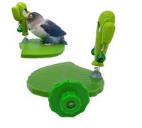 Soporte de entrenamiento para jaula de loro, construcción de montaje de perno integrada, percha interactiva para hábitats de pájaros, bandeja de diseño de follaje estético, base de molienda de garras