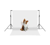 Soporte de fondo ajustable para fondo fotográfico, soporte de lienzo, sistema de fondo multifuncional, construcción de trípode, para fiestas, eventos, bodas, fotografía, 3 x 3 m