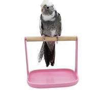 Soporte de formación de pájaros, barras para jaula | perca de entrenamiento estable antideslizante, juguetes portátiles para pájaros para fotografía de negocios de mascotas para crías en casa
