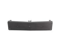 Soporte de la placa de matrícula delante 6509-01-3514920P BLIC