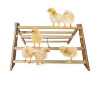 Soporte de madera para pollitos, 37 x 32 x 20 cm, barra de ejercicio de entrenamiento para aves de corral, pájaros, loros, guacamayos, gallinas, hábitat, juguete estable que fomenta la actividad