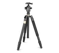 Soporte de montaje del proyector STAND DE PROYECTOR LIGHTWEY AJUSTABLE STOPOR DE PANTALIO SOPORTE DE PANTALIO DE PISO DE 360 ° Cabezal de bola giratoria for la cámara del proyector con bolsa de transp