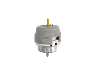 Soporte de motor REINHOCH RH11-0069 derecha