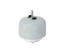 Soporte de motor REINHOCH RH11-0119 derecha