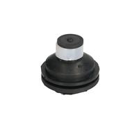 Soporte de motor REINHOCH RH11-2109