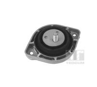 Soporte de motor TEDGUM 00088692 izquierda