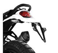 Soporte De Placa ZIEGER Básico Compatible Con Ducati DesertX BJ 22-25