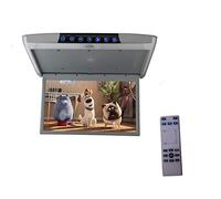 Soporte de techo para coche con pantalla de 1080P de 15,6 pulgadas, Android 6.0 HD, vídeo IPS, WiFi, HDMI, USB, SD, FM, Bluetooth, altavoz, gris