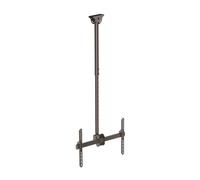 Soporte de Techo para Pantalla Plana (75) Negro - STARTECH