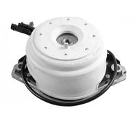 Soporte del motor Delante, derecha Cojinete hidro conectable electricamente