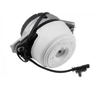 Soporte del motor Delante, izquierda Cojinete hidro conectable electricamente