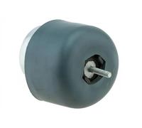 Soporte del motor delante Soporte hidráulico ZPS-AU-036 NTY para AUDI VW SKODA