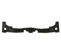 Parachoques - soporte BLIC 5502-00-3493942P