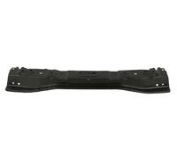 BLIC 5502-00-3753941P Soporte, parachoques